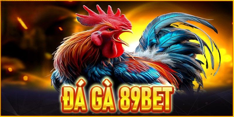 Khám phá hệ thống cược tại đá gà 89BET
