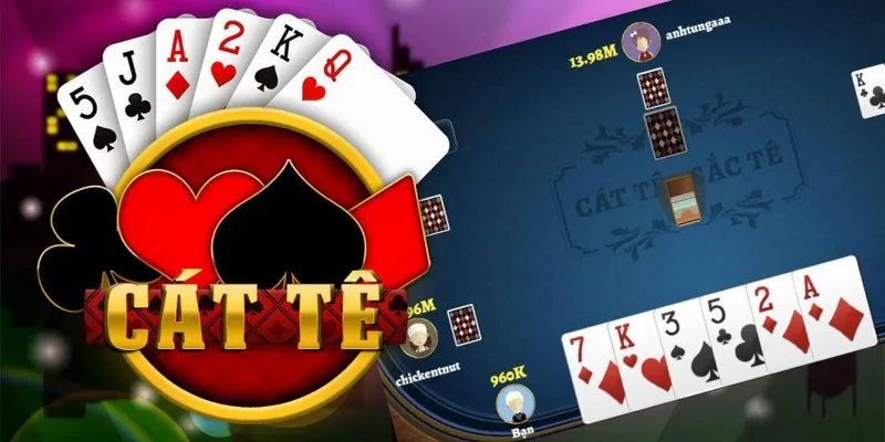Tổng quan về Catte